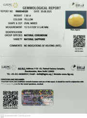 7.60/CT Natural Yellow Sapphire With Govt Lab Certificate (1221)